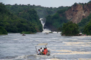 11 Days Uganda Safari Gorilla and Wildlife Tour