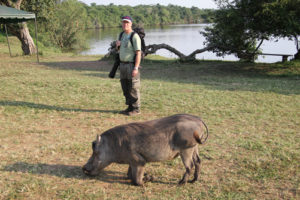 3 Days Lake Mburo National Park