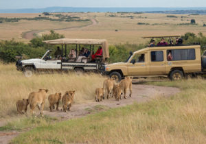 6 Days Serengeti, Ngorongoro and Gorilla Trekking Rwanda.