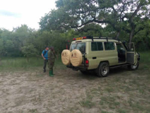 Renting a car in Entebbe