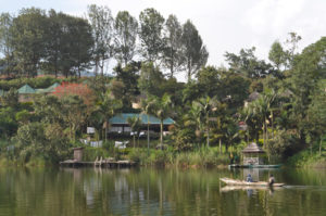 3 Days Bwindi Gorillas and Lake Bunyonyi Safari