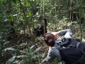 9 Days Uganda Gorilla Safari