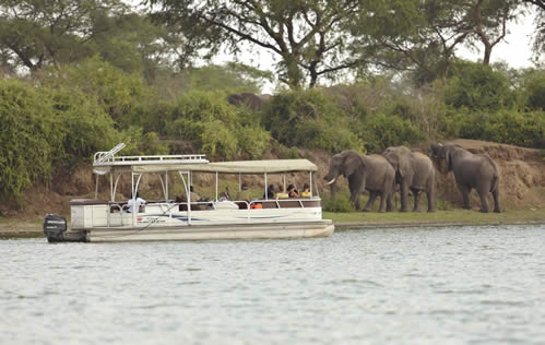 9 days Uganda safari tour