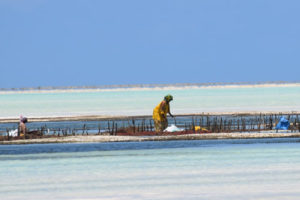 Things to see in Zanzibar.