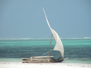 Top Things to do in Zanzibar.