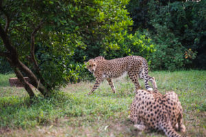 Tourist attractions in Zanzibar