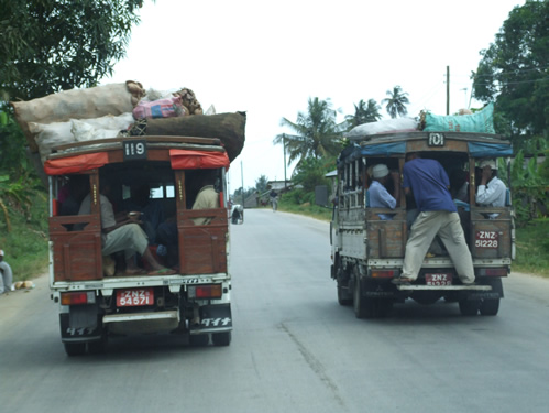 What to see in Zanzibar