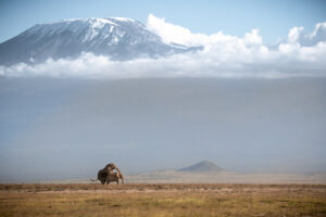 Mount Kilimanjaro