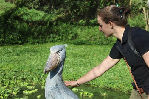 Entebbe Zoo – Behind The Scenes Tour and Entrance Fee,