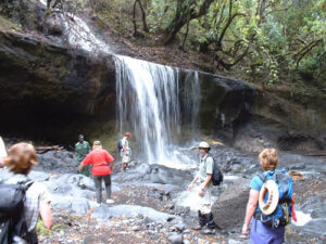 Waterfalls in Arusha