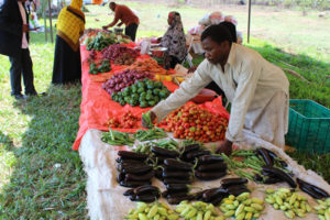 What to do in Zanzibar