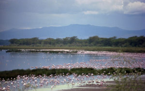 Attractions to visit in Kenya