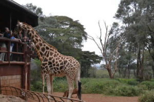 Interesting places to visit in Kenya