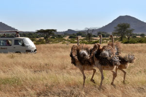 Top places to visit in Kenya