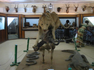 Top tourism attractions in Kenya