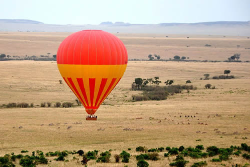What to see in Kenya