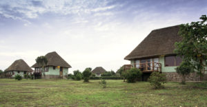 10 days safari in Uganda and Rwanda