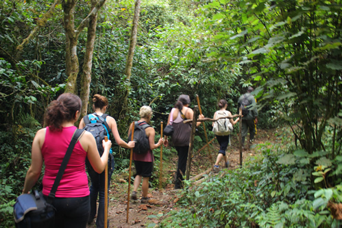 3 Day Nyungwe forest tour and canopy Walk 