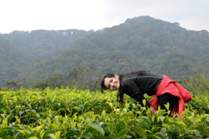 3 Days Chimpanzee Tracking Nyungwe