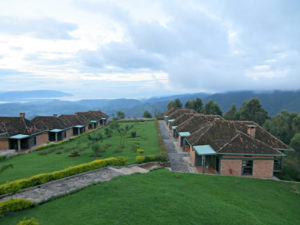 3 days Nyungwe chimpanzee tracking