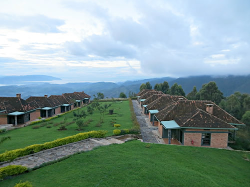 3 days Nyungwe chimpanzee tracking