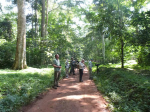 5 day Murchison Falls and chimpanzee trekking in Budongo safari