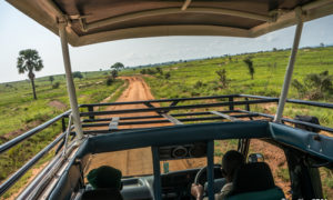 5 days Murchison falls safari