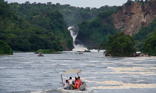 6 Days Uganda Safari – Kibale, Queen Elizabeth and Murchison falls