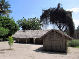 Tanzania attractions
