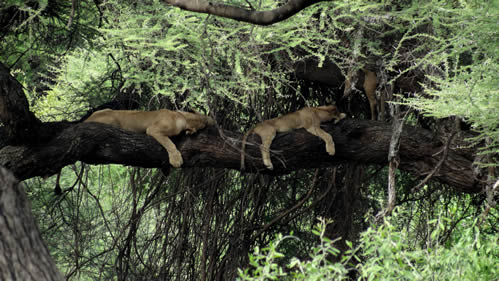 Top tourist attractions in Tanzania