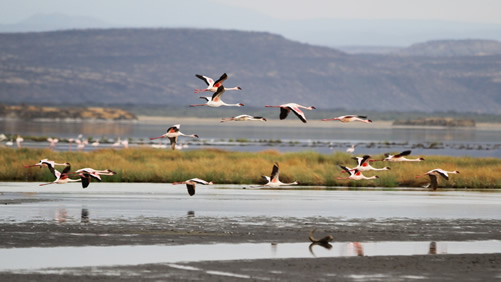 Tourist attractions in Tanzania