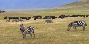 Places to visit in Tanzania