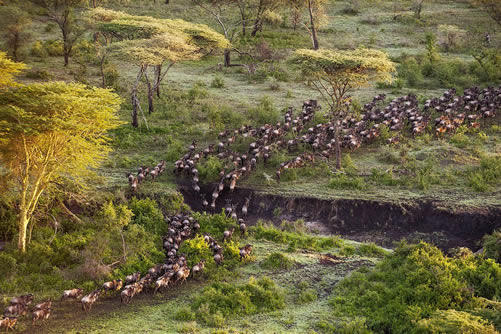 Places to visit in Tanzania