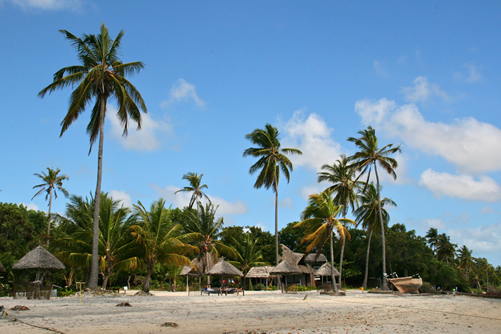 Top things to do in Tanzania