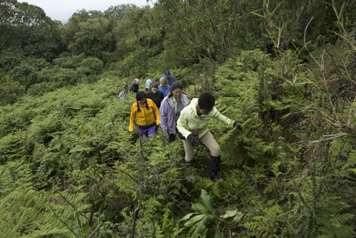 13 days Uganda Rwanda safari