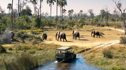 13 days Uganda Rwanda Safari