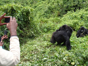 4 days gorilla safari and Nyiragongo hike