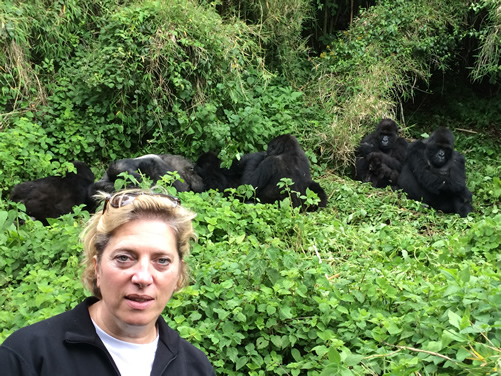 Mount Nyiragongo Hiking and Gorilla Trekking