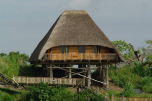 5 days safari in Rwanda and Uganda