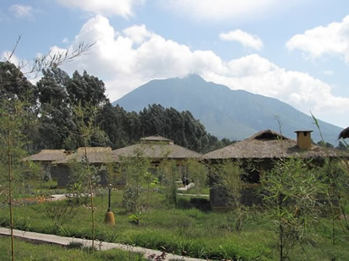 Le Bambou Gorilla Lodge