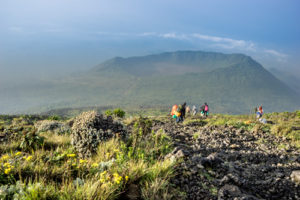 Gorilla trekking and Nyiragongo hike