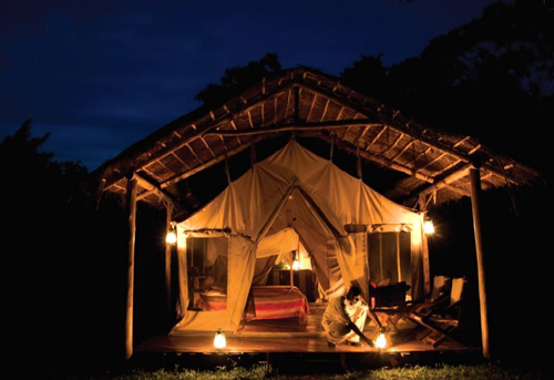 Primates Lodge