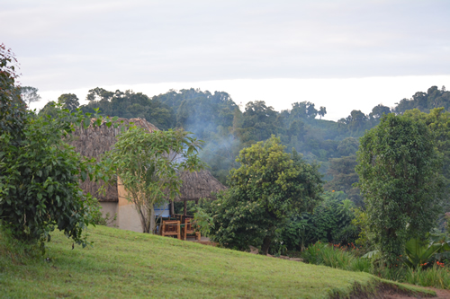 5 days primates safari in Uganda