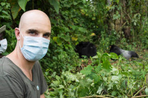 Gorilla tracking after coronavirus