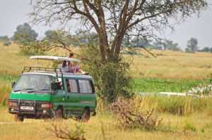 Uganda Opens National parks 