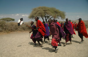 About Serengeti National Park