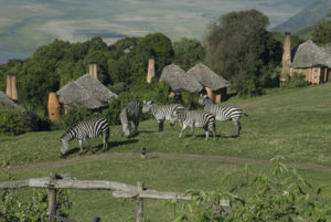 Facts about Ngorongoro Conservation area in Tanzania