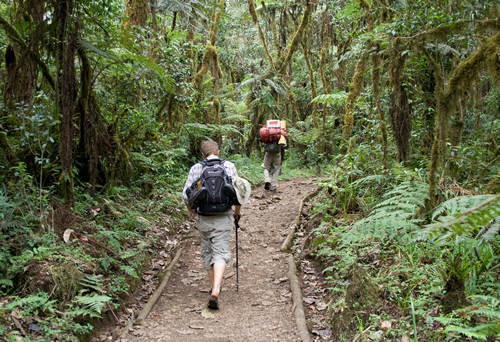 Interesting facts about Mount Kilimanjaro