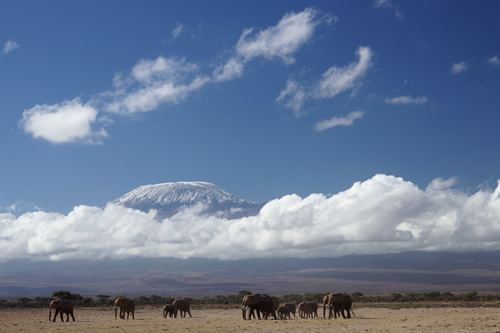 Mount Kilimanjaro Facts