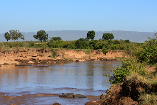 Masai Mara National Reserve